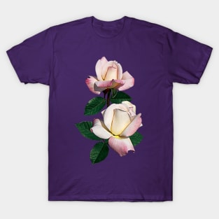 Roses - Pale Pink Rosebuds Variety Pristine T-Shirt